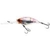 white-crawfish-v-4969-496967