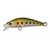 spot green trout