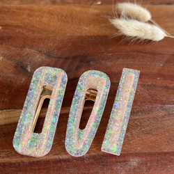 Lot de 2 barrettes fleurs séchées et résine époxy - France
