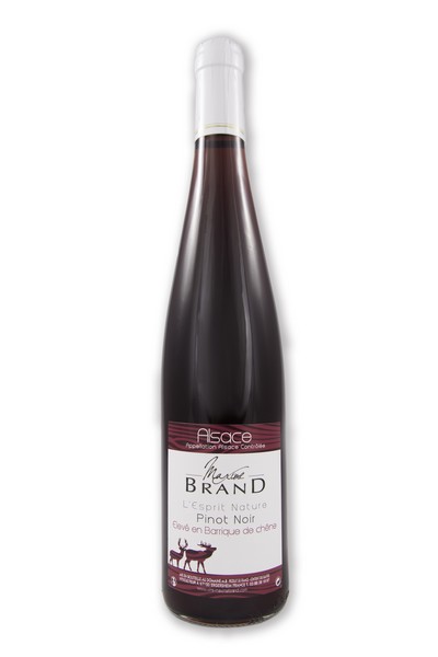 Maxime Brand lalsace-en-bouteille.com  pinot noir barrique