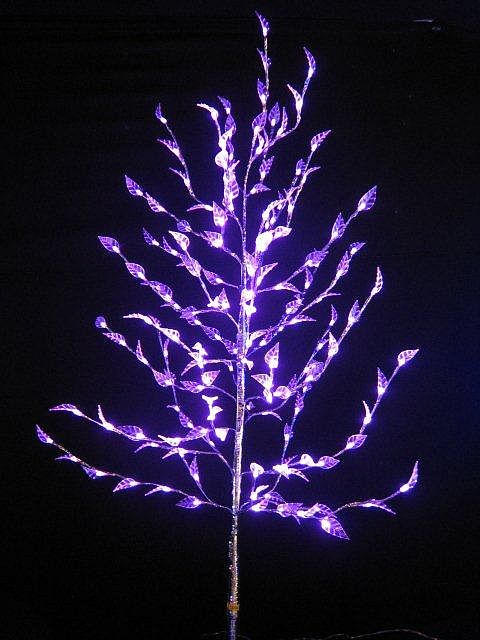 arbre lumineux