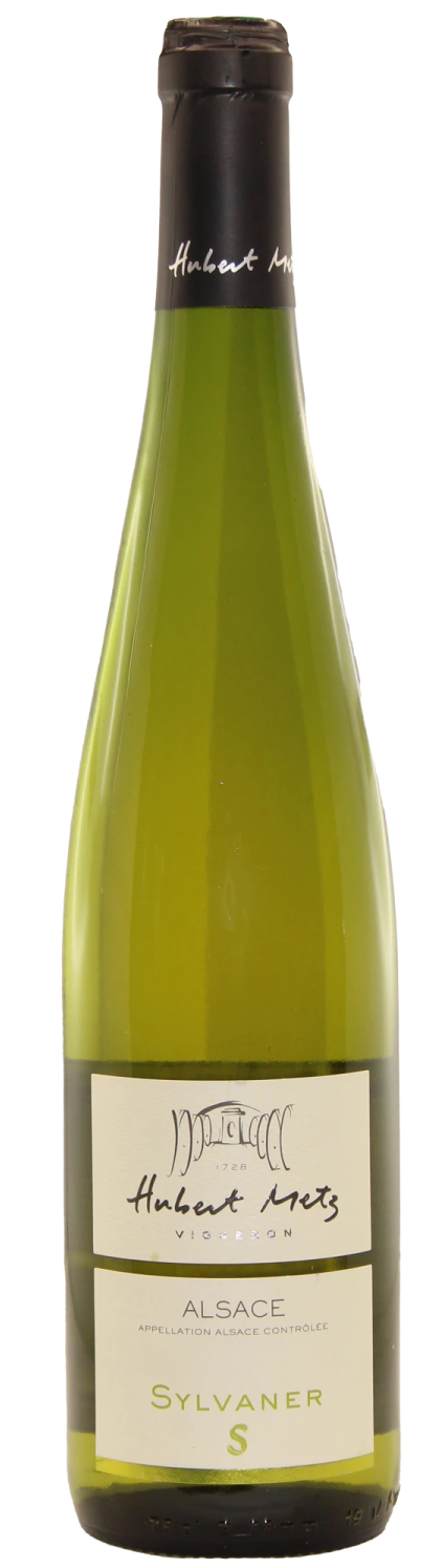 Sylvaner S  vieilles vignes 2016   Domaine Hubert Metz-lalsace-en-bouteille-1