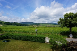 DSC09754.800
