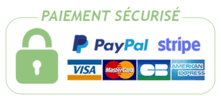 Stripe paypal