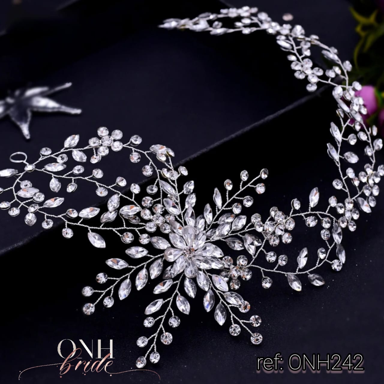 ONH242.4