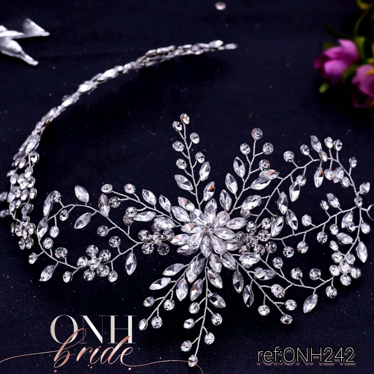 ONH242.1