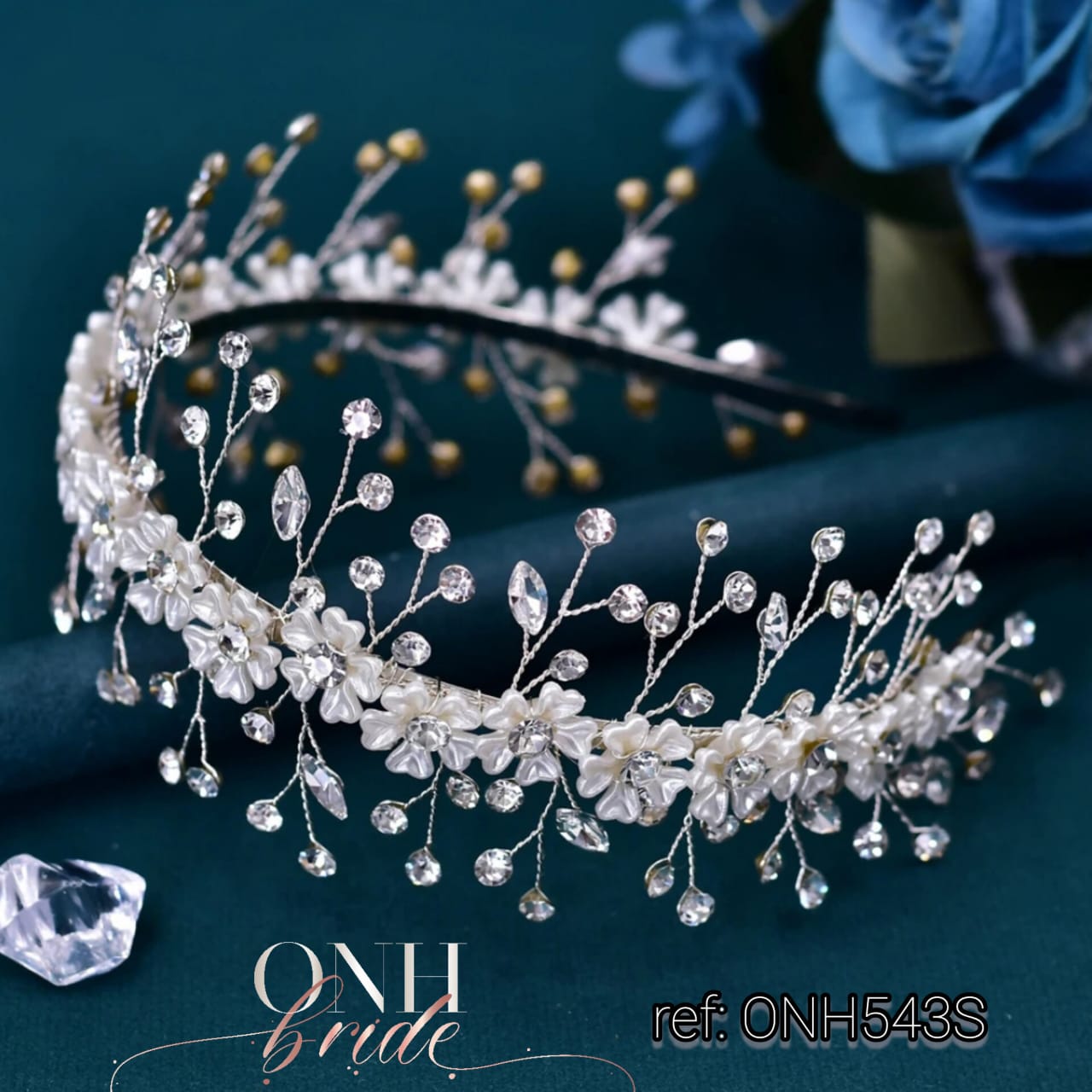 ONH543.3