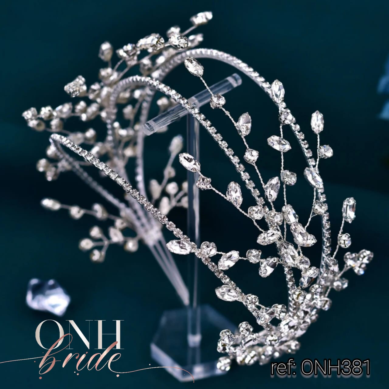 ONH381.3