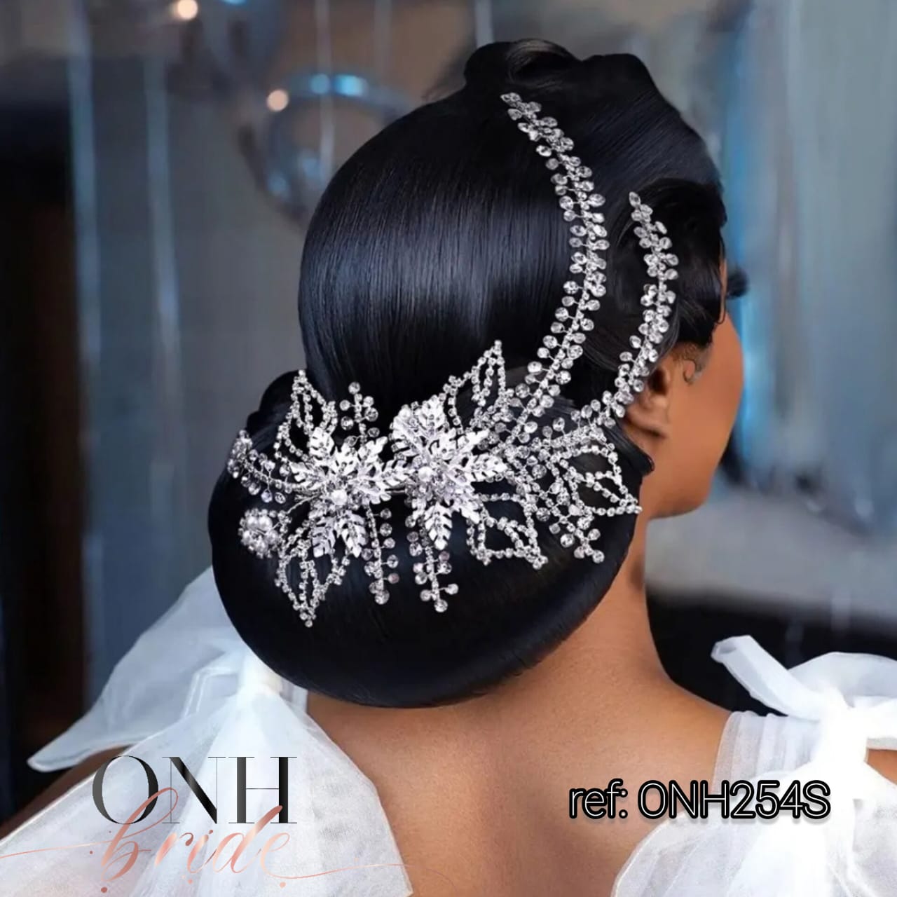ONH254S.1