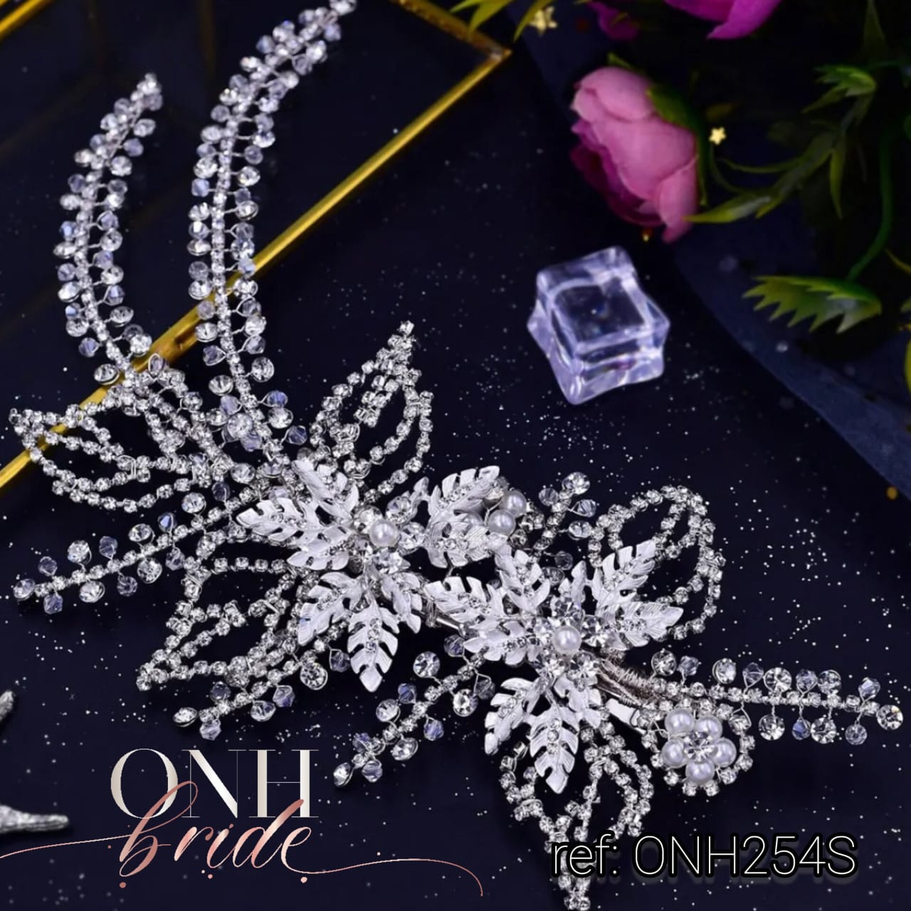 ONH254S.2