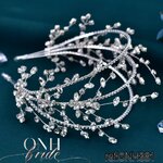 ONH381.4