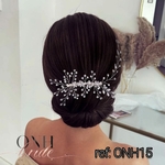 ONH15.1