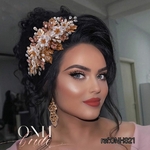 ONH321.1