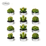 12-pi-ces-plantes-succulentes-moule-Cactus-bricolage-ar-me-gypse-pl-tre-Silicone-bougie-moules