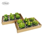 12-pi-ces-plantes-succulentes-moule-Cactus-bricolage-ar-me-gypse-pl-tre-Silicone-bougie-moules