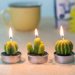 12-pi-ces-plantes-succulentes-moule-Cactus-bricolage-ar-me-gypse-pl-tre-Silicone-bougie-moules