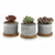 T4U-2-25-pouce-ciment-Succulent-planteur-Pot-avec-plateau-en-bambou-gris-ensemble-de-3