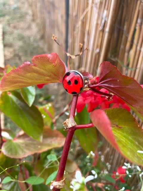 bague ladybug