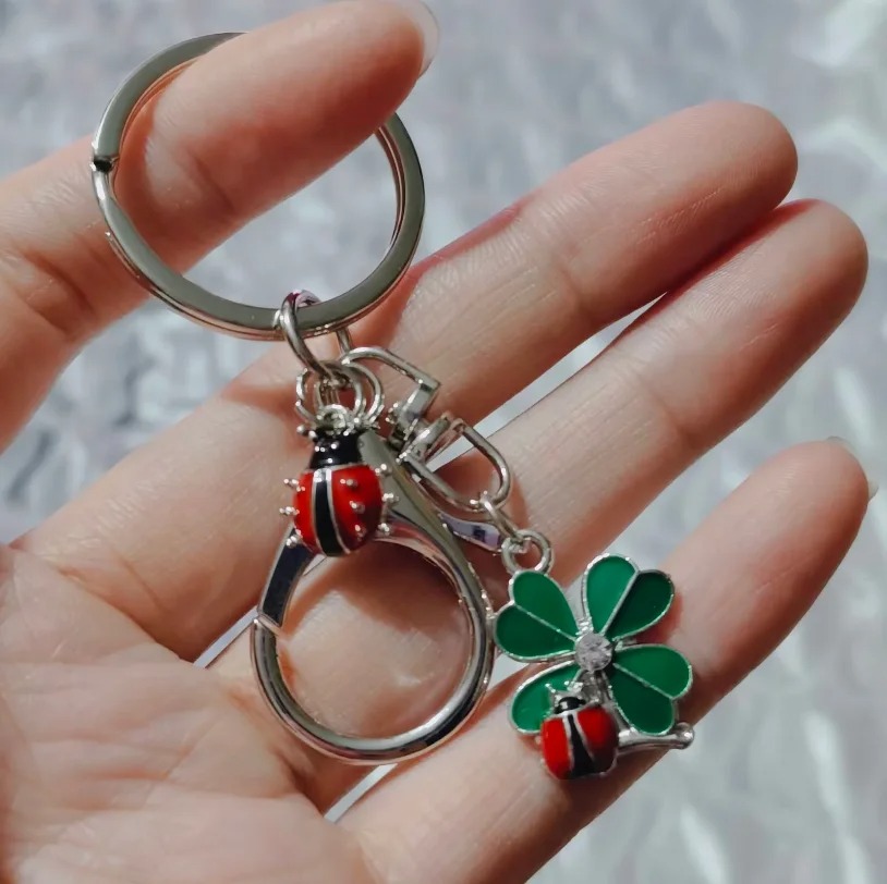 Porte-clés coccinelle