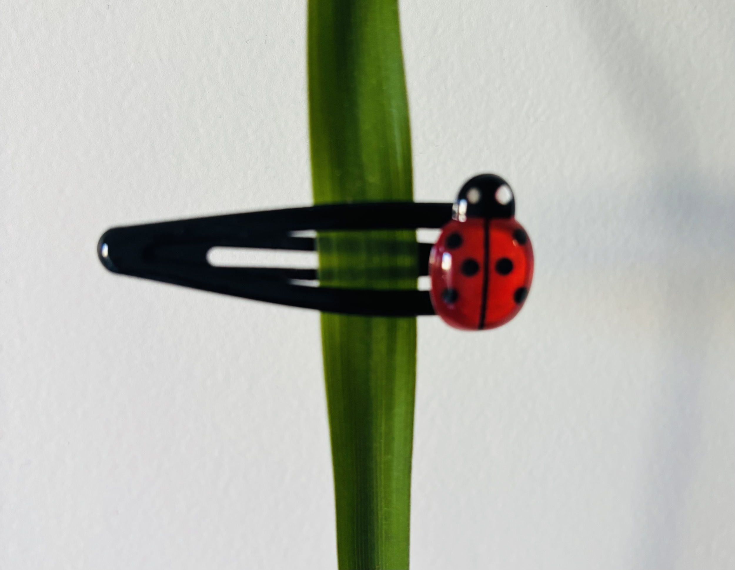 BARRETTE COCCINELLE