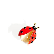 broche coccinelle perle