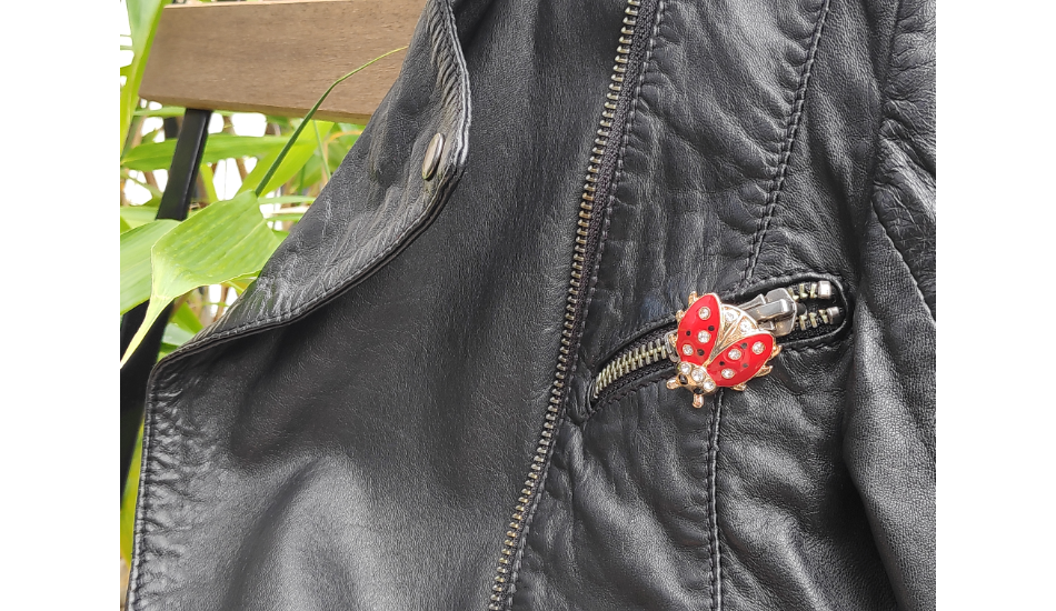 broche coccinelle