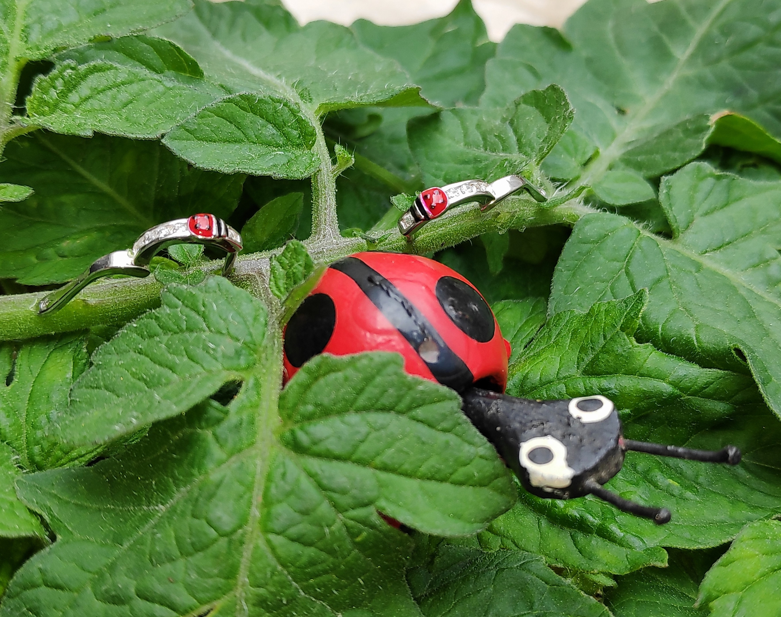 Boucles Doreilles Coccinelle Argent Dormeuses Enfant