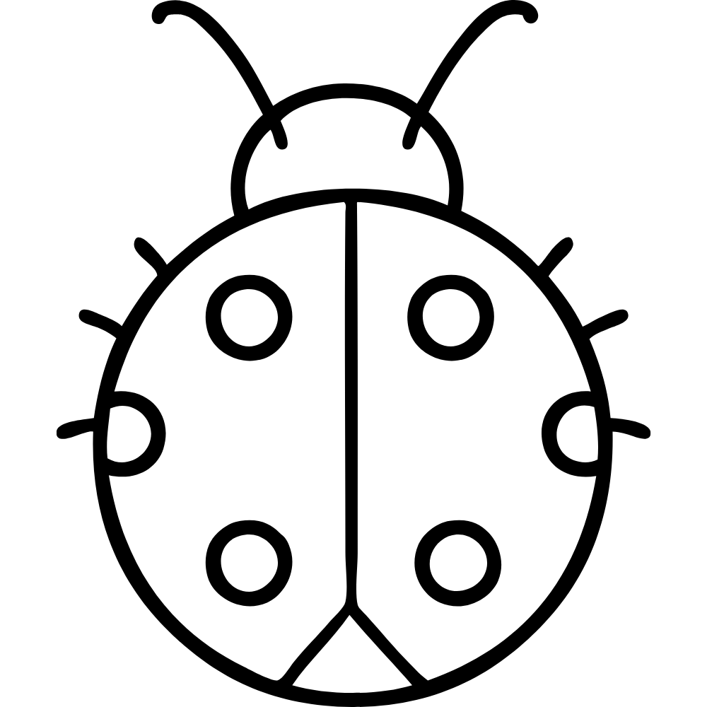 bijou coccinelle