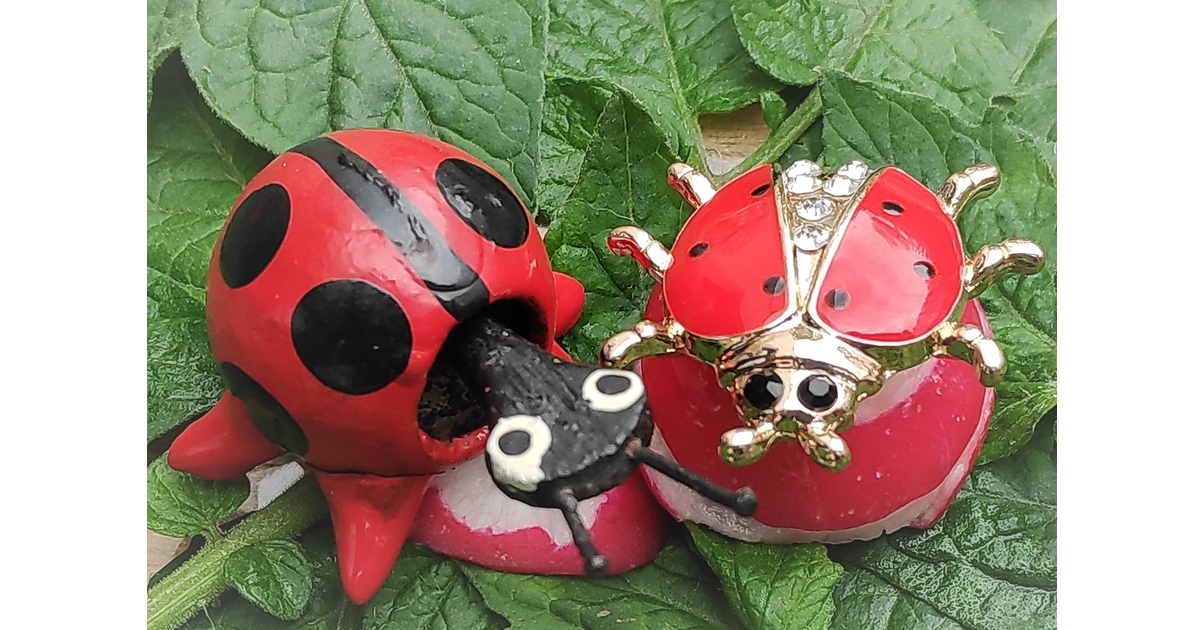 Jolie Broche Vintage Coccinelle Émail Rouge Et Or – Bijou Rétro Pour Collection