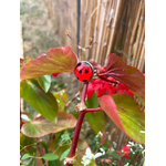 bague ladybug