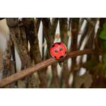 ma bague coccinelle
