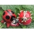 broche coccinelle adalia